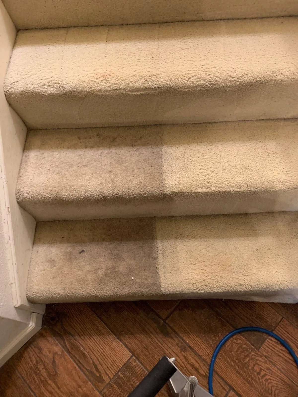 Professional carpet cleaning service technician performing deep steam cleaning on residential carpet
