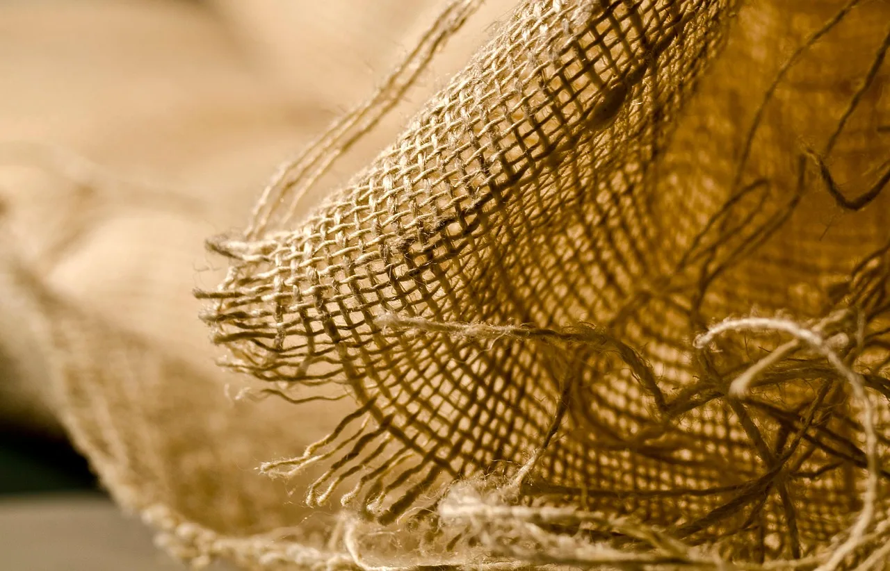 Close-up of clean carpet fibers after professional cleaning