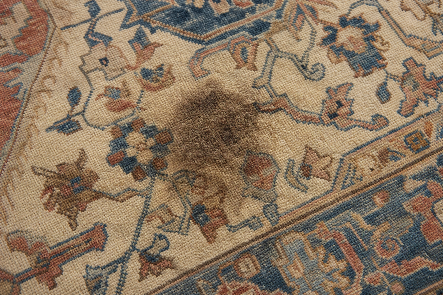 A single dark pet stain spot on a patterned rug, the discoloration assessed against the original design