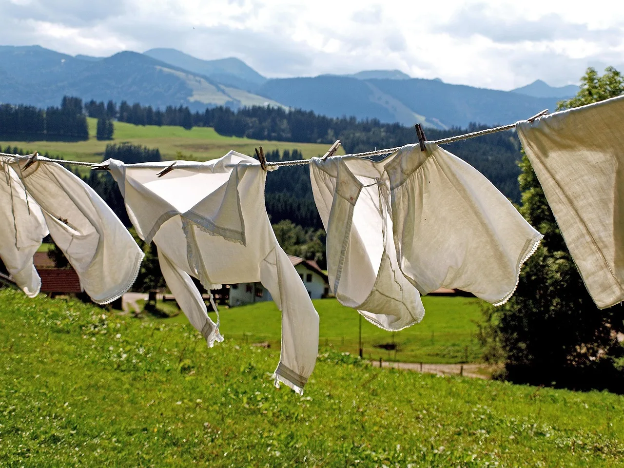 Rugs hanging to dry after professional cleaning in Chicago