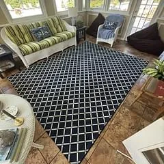 Black-and-white trellis synthetic area rug in a sunroom, cleaned in the customer's home in Chicago