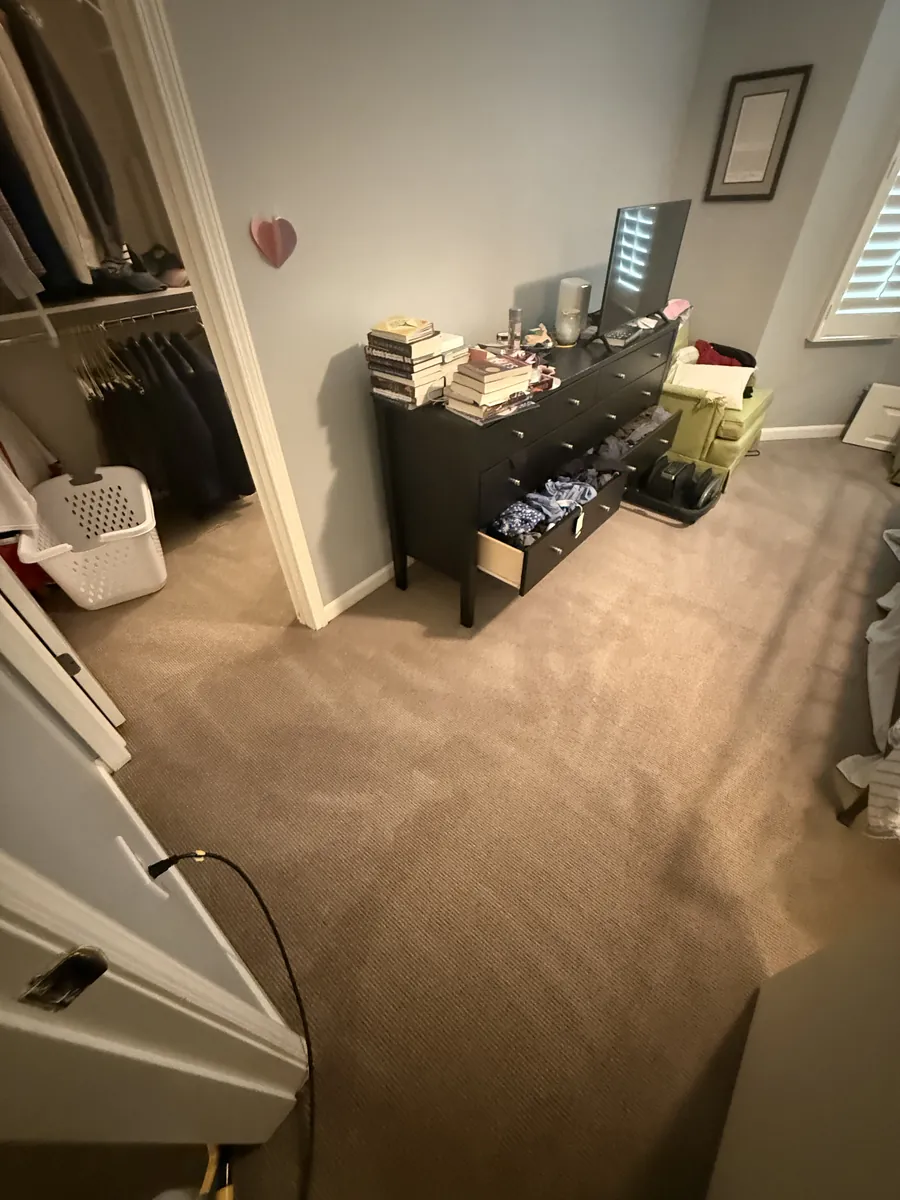 Walk-in closet doorway and bedroom wool carpet cleaned for pet stains in the same visit