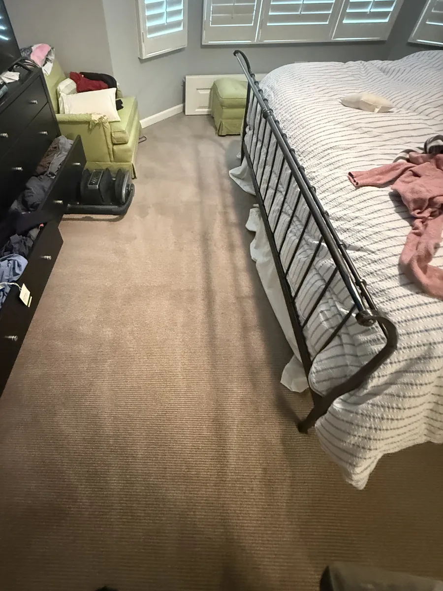 Bedroom with beige wool wall-to-wall carpet right after pet stain carpet cleaning in a South Loop Chicago home