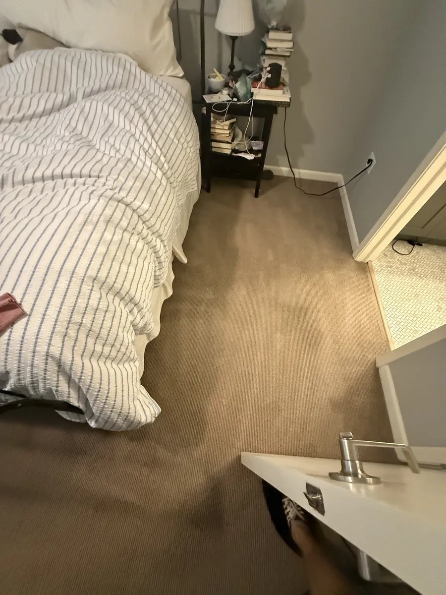 Wool carpet beside a bed after pet stain treatment, with darker damp areas still drying