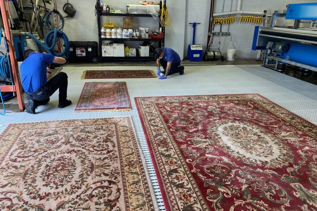 area rug cleaning services