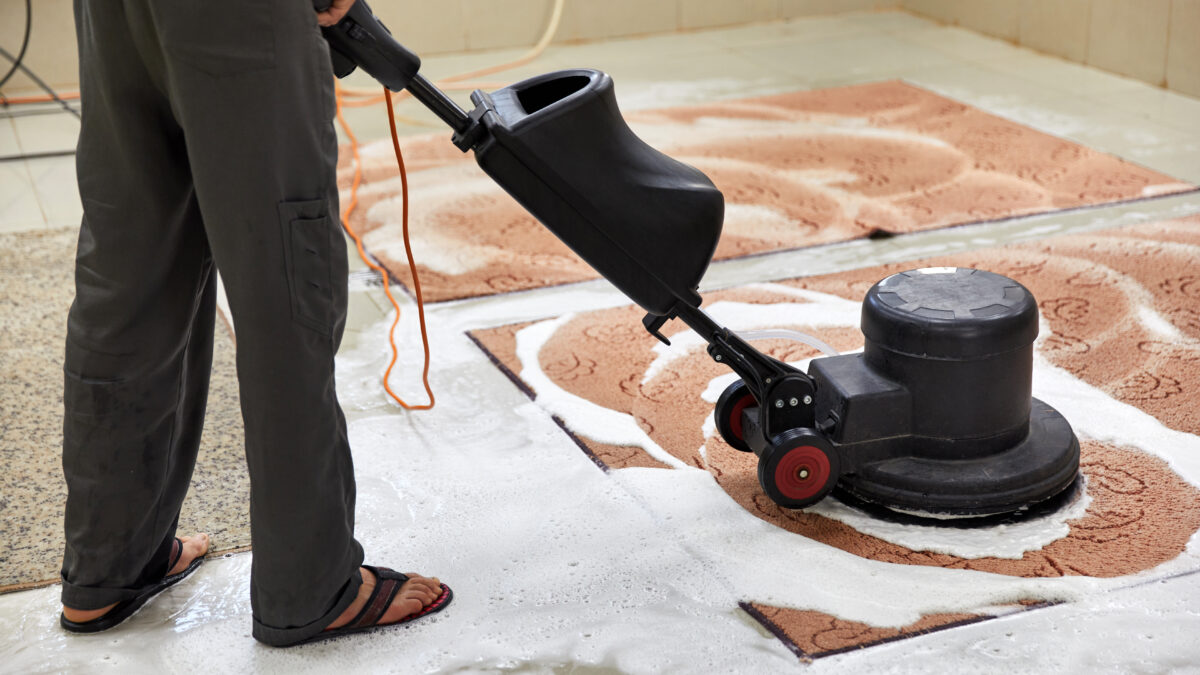 rug cleaner in chicago using disk machine
