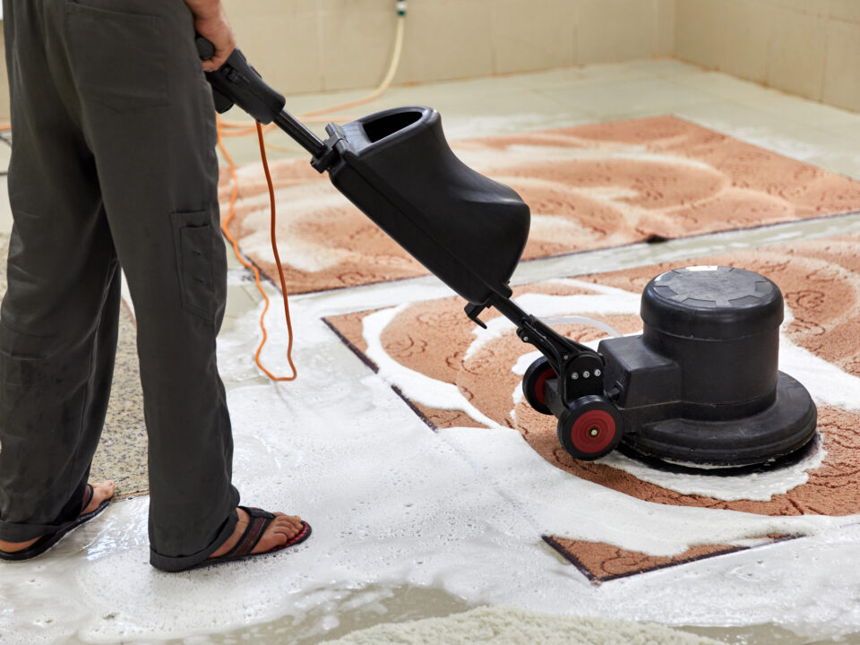 rug cleaner in chicago using disk machine