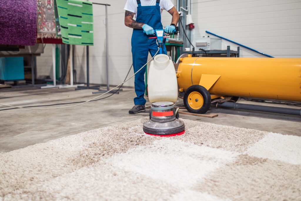 rug cleaner in chicago washing a carpet