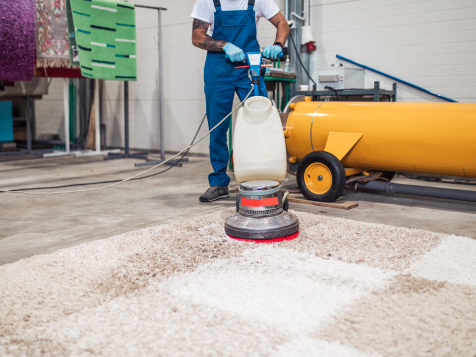 rug cleaner in chicago washing a carpet