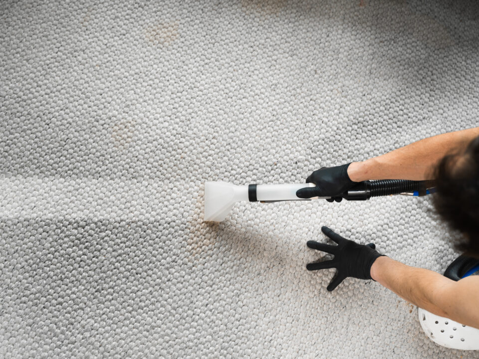 rug cleaning
