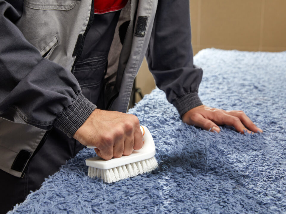 carpet cleaner removing stain