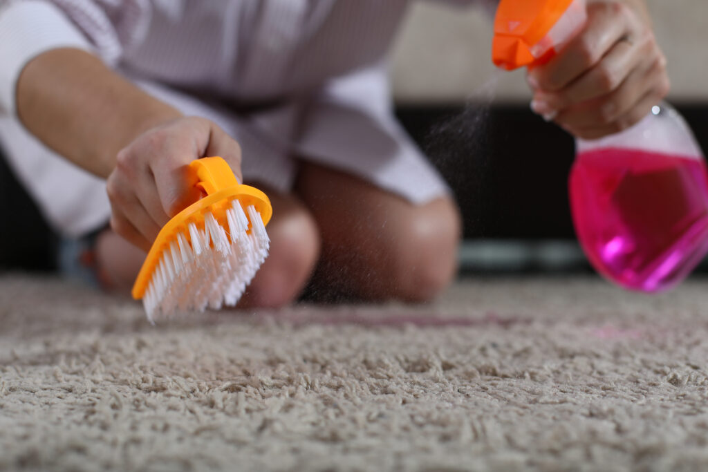 DIY rug cleaning